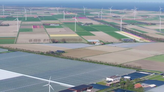 Aerial view of a dutch landscape with wind turbines and colorful flower fields in the netherlands, featuring agricultural land and greenhouses