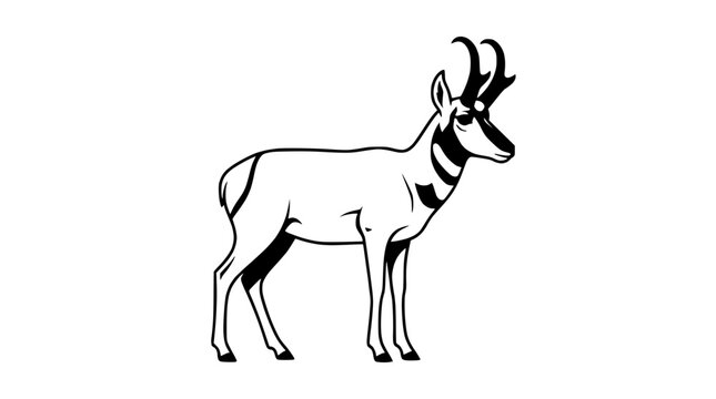 Pronghorn Antelope Illustration - Vector Art