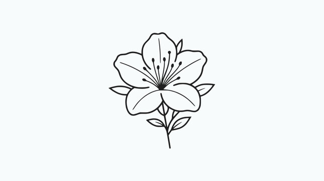 Minimalist Azalea Flower Line Art Drawing, Simple Botanical Illustration on White Background
