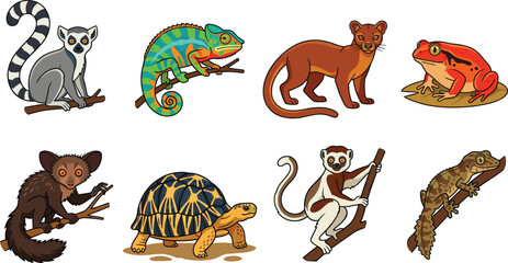 Madagascar Wild Animals Cartoon Icon Set with Ring Tailed Lemur, Chameleon, Fossa, Tomato Frog, Aye Aye, Radiated Tortoise, Sifaka, and Leaf Tailed Gecko Vector © Sahina