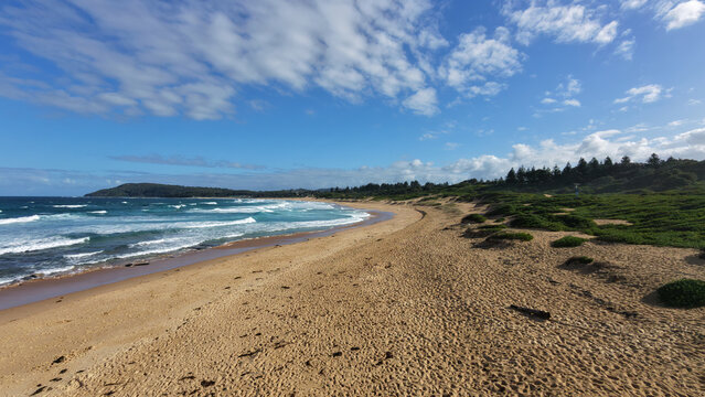 Shelly Beach from Toowoon Bay NSW AUS