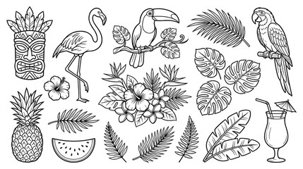 Tropical collection of elements for summer vacation designs. © Amir