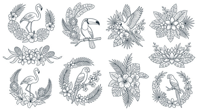 Exotic birds and flower arrangements circle illustrations.
