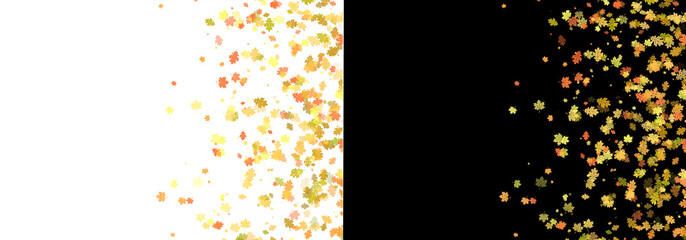 Autumn oak and maple leaves side border isolated on transparent background. Vertical side frame layout featuring a mixed drift of autumn oak and maple leaves. Colorful fall foliage margin overlay © Iryna