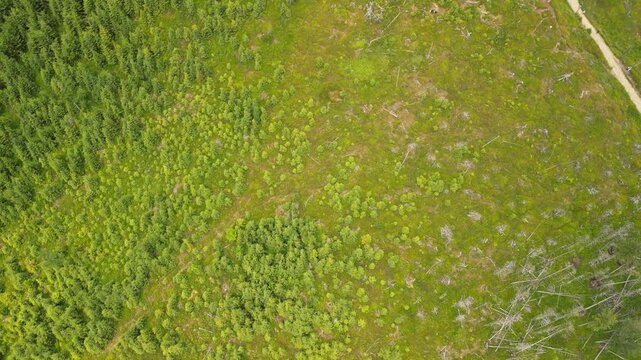 Skrzyczne - Polska
Szczyt najwyższej g&oacute;ry Beskidu Śląskiego Skrzycznego 1257 m n.p.m. nagrana z drona. Piękne ujęcia z powietrza, szczyt, masz telekomunikacyjny, chmury i okoliczne szczyty, kolejka li
