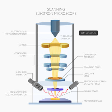 SEM Coloumn - Scanning electron microscopy in materials science - Stock Illustration