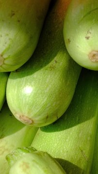 zucchini. Stacks of green zucchini at the farmers market 