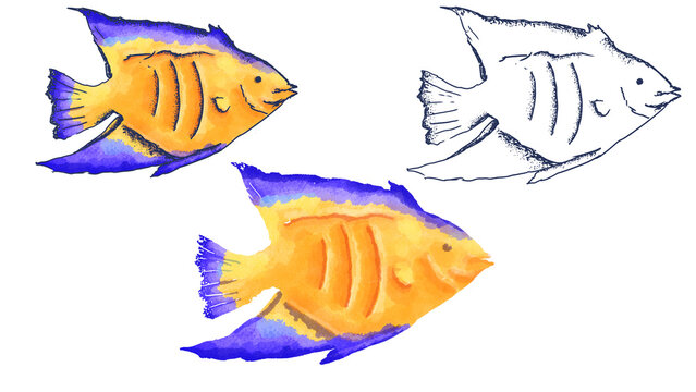 Three fish are shown in a simple style. The first fish is in bright colors with orange and blue. The second fish is a white outline. The third fish has some color blending.
