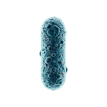 Detailed scientific illustration of a single bacterium on white background