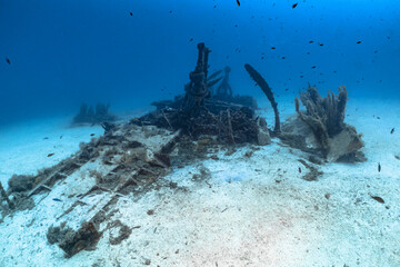 Wide-angle view of the Bristol Beaufighter World War II aircraft wreck resting upside down on the seabed off the coast of Malta © Kristof