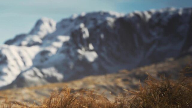 Tall grass stands in the foreground while large mountains rise in the background under a clear blue sky. Snow covers the peaks as sunlight shines on the scene.
