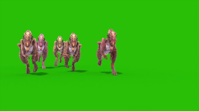 Green Screen Group Dinosaur Dilophoraptor Runs Front 3D Rendering Jurassic Animations CGI 4K