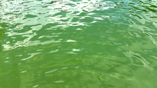 Horizontal 4K video showing green water surface rippling with bright reflected light, creating a calm natural abstract background.