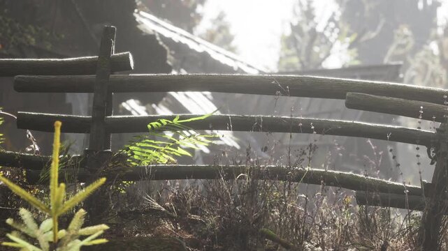 A wooden fence stands in front of an old cabin surrounded by trees. Sunlight filters through the leaves, creating soft shadows and illuminating the green plants nearby.