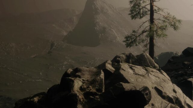 A rocky terrain is shown with mountains in the background. A single tree stands beside the rocks. The scene is lit by soft light during early morning.