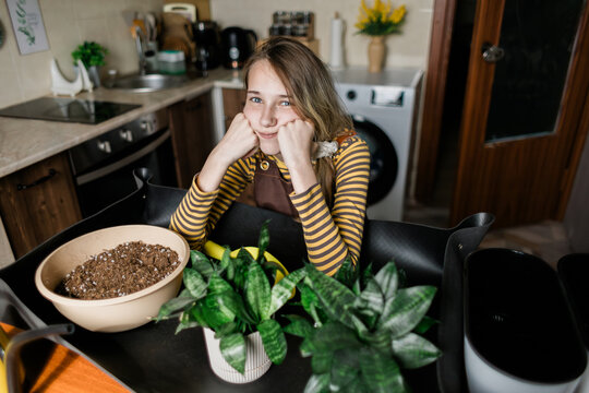Teenage girl transplanting Sansevieria house plants indoors