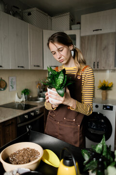 Teenage girl holding Sansevieria houseplant in kitchen