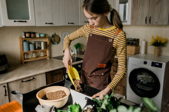 Teenage girl potting houseplant soil in home kitchen