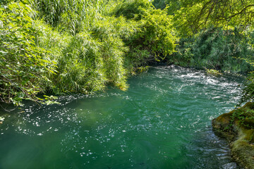Park Krka, Chorwacja - naturalne środowisko © FotoKieltyka.pl