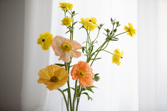 Yellow Ranunculus and Peach Poppy Bouquet Glass Vase