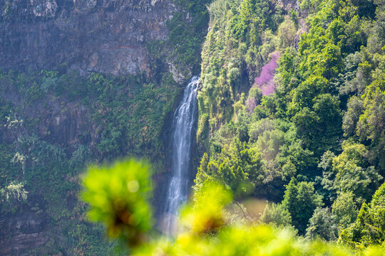 Scenic waterfall cascading through lush Madeira mountains