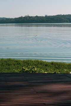 Landscape viewed from the deck