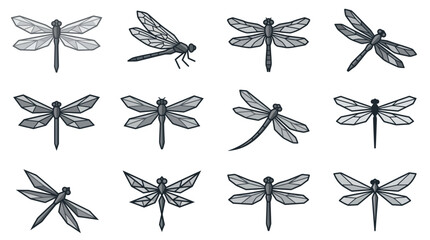 Dragonfly insect silhouette icon set. © Mifta