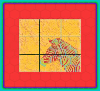 chinese style painting , zebra print 