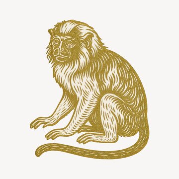 Vintage monkey illustration, golden tones.