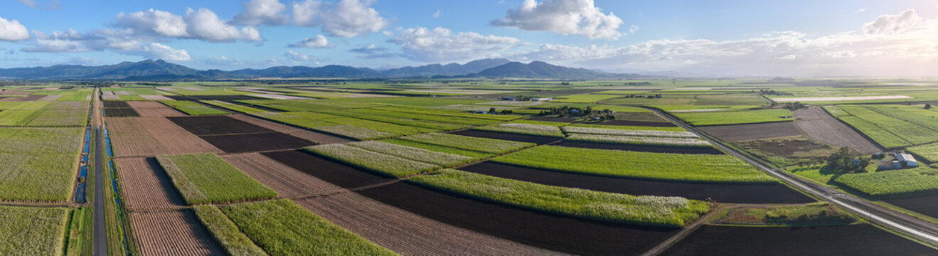 Aerial View of Rolling Green Farmland at Sunrise