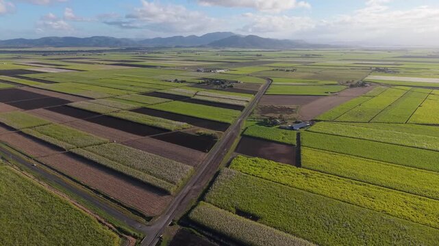Aerial View of Rolling Green Farmland at Sunrise