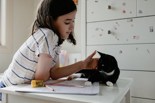 Young preteen girl in her bedroom remote home schooling, distracted patting her newly adopted kitten lying on her desk. Australia