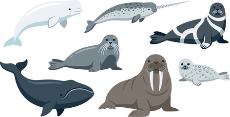 Arctic Marine Mammals and Polar Ocean Wildlife Vector Illustration Set Featuring Beluga Narwhal Bowhead Whale Walrus and Seals © Rimu
