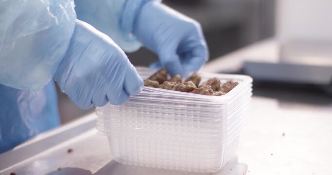Gloved hands place cooked patties into a clear plastic tray