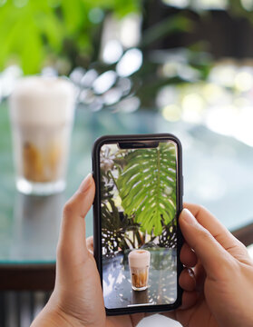 Person Photographing Iced Coffee with Smartphone in Tropical Caf&eacute; for Social Media
