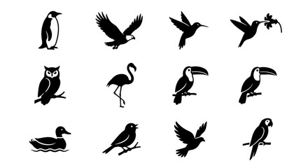 Obraz premium Assorted bird silhouettes from various global habitats.