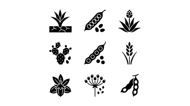 Black and white pea pods illustrations.