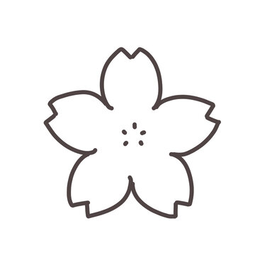 Hand drawn cherry blossom sakura flower doodle icon