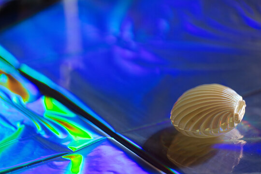 White seashell on iridescent blue and green reflective surface with abstract light patterns