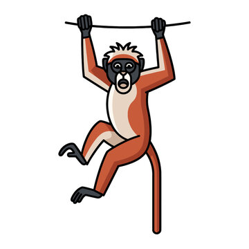 A colorful cartoon monkey hangs from a thin horizontal rope