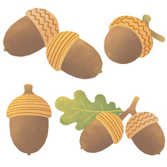 도토리 일러스트 Acorn illustration © 하나 최