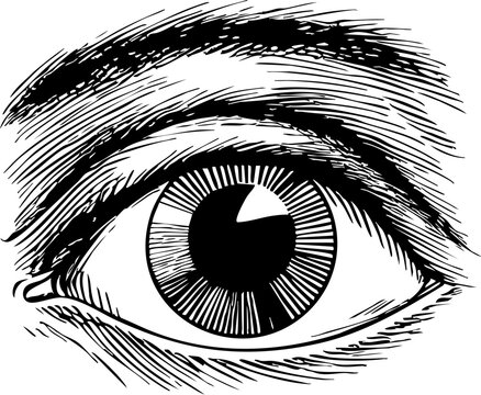 eye stencil, eye clipart, eye logo, vector eye logo, eye icon vector, eye lash illustration, eye icon