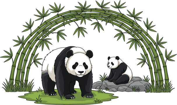 Giant panda and cute little cub standing under a green bamboo arch frame on a white background hand drawn wildlife vector illustration.