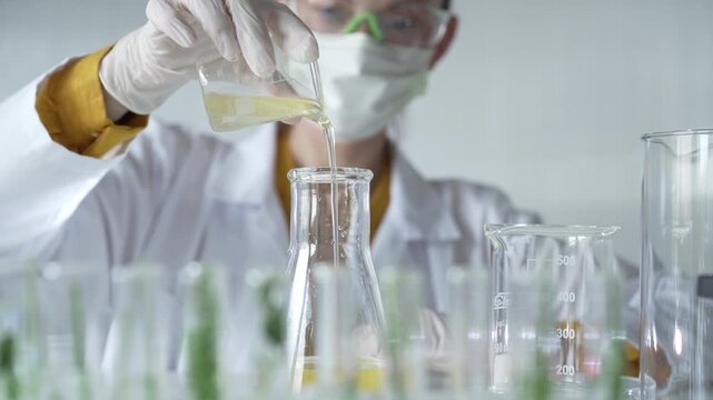 Woman scientist wearing a lab coat, white gloves, and a mask is pouring a yellow oily liquid from one beaker to another in a laboratory setting, close up. Science and medicine