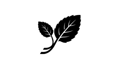 Mint Leaf Branch Silhouette, Black Vector Icon Illustration of Herbal Plant Leaves © Nirmol