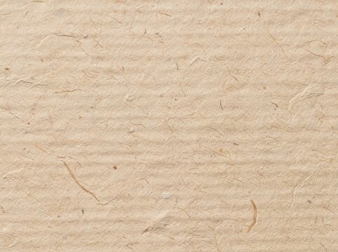 Close-up of textured natural paper with visible fibers and subtle creases, showcasing an organic and rustic appearance.
