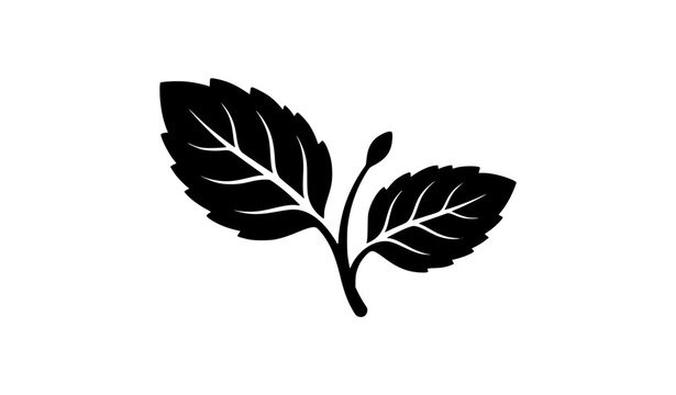 Mint Leaf Branch Silhouette, Black Vector Icon Illustration of Herbal Plant Leaves
