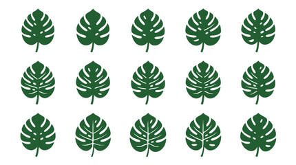 Green monstera leaf icon set for tropical design. © Tawang