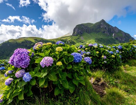 Colorful wildflowers blooming in alpine meadow with mountain backdrop.