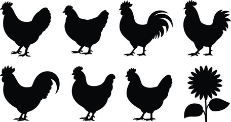 Vector icon set of traditional farm roosters, organic poultry chicken hen silhouettes, countryside sunflower elements © Sohel